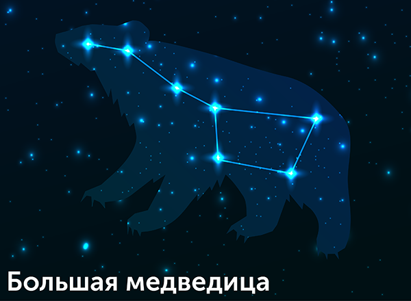 Большая Медведица